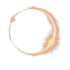 SOLAR ECLIPSE ASTRONOMY LOVERS