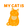 tabby cat