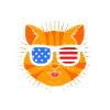 tabby cat