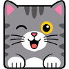 Chat