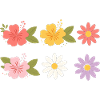 Tropical Hibiscus Floral Burst