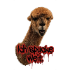 Alpaka "Ich spucke weit"