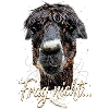 Frag nicht... Alpaka Humor