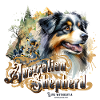 Australischer Schäferhund