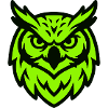 Green Owl Mascot Logo