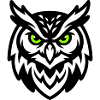 Owl Mascot E Sport Logo
