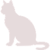 Pastel Cat Silhouette