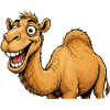 Laughing Camel Cartoon