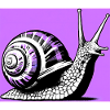 Snail