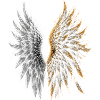 B-Angel Wings