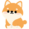Shiba Inu