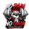 No Pain No Gain Power Lifting