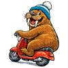 Walrus on the scooter