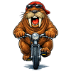 Walrus sporty