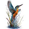 Brilliant Kingfisher on Waterfall
