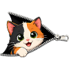 Cute Kitten Zipper Cat
