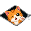 Cute Kitten Zipper Cat