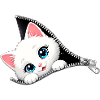 Cute Kitten Zipper Cat