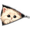 Cute Kitten Zipper Cat