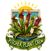 PITCHER PLANT CREW Plants
