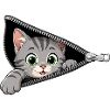 Cute Kitten Zipper Cat