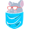 Chinchilla