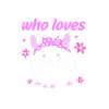 Chinchilla