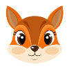 Squirrel face