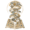 Coin Collector Numismatics Coin Collecting