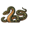 Retro anaconda