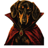 Dachshund Viennese Dog Halloween Vampire