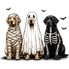 Dog trio in Halloween costumes