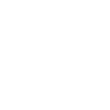 White splashed lion