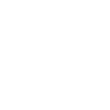 Lion Blanc Éclaboussures Peinture