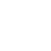 White splash lion