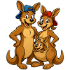 Funny kangaroos
