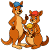 Kangaroo Family
