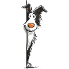 Peeking collie design