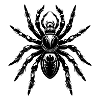 Tarantula spider