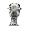 Du Esel – Lächelnder Eselkopf