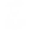 Palmenurlaub Hängematte Design