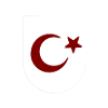 Born in Türkiye Shield