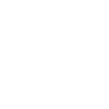 Eagle / Head / Bald Eagle