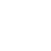 Plant Lady Club Monstera