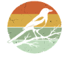 Magpie bird animal