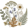 Wildflower Bouquet
