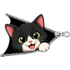 Cute Kitten Zipper Cat