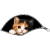 Cute Kitten Zipper Cat