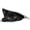 Cute Kitten Zipper Cat