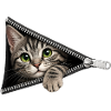 Cute Kitten Zipper Cat